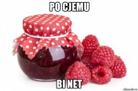 po cjemu bi net
