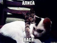 алиса вася