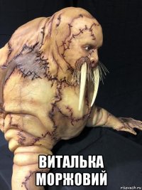  виталька моржовий