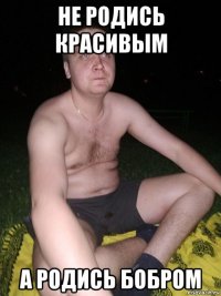 не родись красивым а родись бобром