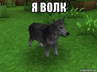 я волк 