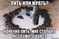 пить или жрать? конечно пить. мне столько не созжать вовсе