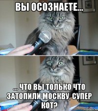 вы осознаете... ... что вы только что затопили москву, супер кот?