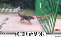  эффект забора