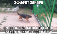 эффект забора проявляет себя также когда забор в видео начинает отодвигаться