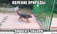 явление природы эффект забора