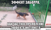 эффект заборра, как частное проявление эффекта интернета