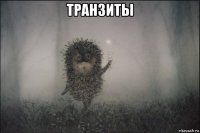 транзиты 