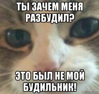 ты зачем меня разбудил? это был не мой будильник!