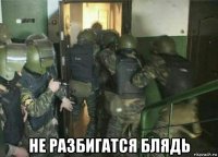  не разбигатся блядь