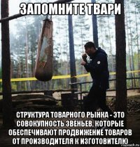 запомните твари структура товарного рынка - это совокупность звеньев, которые обеспечивают продвижение товаров от производителя к изготовителю
