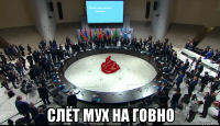  слёт мух на говно