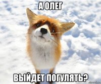 а олег выйдет погулять?