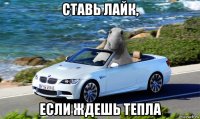 ставь лайк, если ждешь тепла