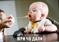  жри чо дали