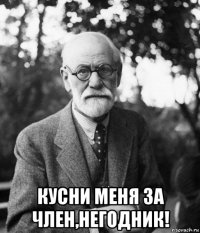  кусни меня за член,негодник!