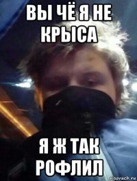 вы чё я не крыса я ж так рофлил
