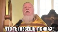  что ты несёшь, псина?!