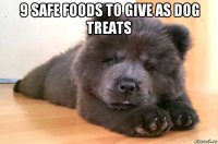 9 safe foods to give as dog treats 