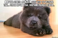 мишка спать пойдём ??? что то устала так... спок ночи тебе, карамельных снов.. 