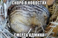 скоро в новостях смерть админа