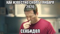 как известно скоро 1 января 2020 секбидол