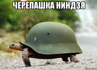 черепашка ниндзя 