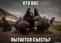 кто вас пытается съесть?
