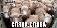  слява, слява