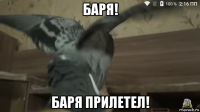баря! баря прилетел!