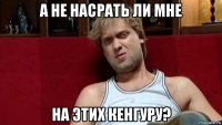 а не насрать ли мне на этих кенгуру?