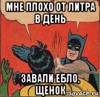 мне плохо от литра в день завали ебло, щенок