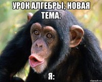 урок алгебры; новая тема: я: