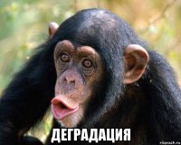  деградация