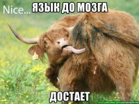 язык до мозга достает