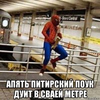  апять питирский поук дуит в сваей метре