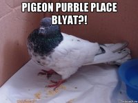 pigeon purble place blyat?! 