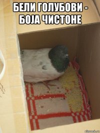 бели голубови - боjа чистоhе 
