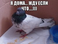 я дома... жду если что....))) 
