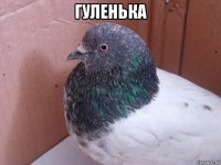 гуленька 