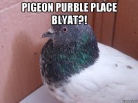 pigeon purble place blyat?! 
