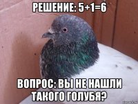 решение: 5+1=6 вопрос: вы не нашли такого голубя?