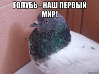 голубь - наш первый мир! 