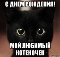 с днем рождения! мой любимый котеночек