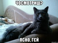 чосмотриш? ясно, ґєй