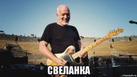  свеланка