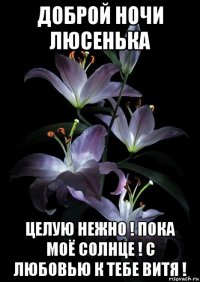 доброй ночи люсенька целую нежно ! пока моё солнце ! с любовью к тебе витя !