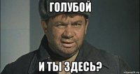 голубой и ты здесь?