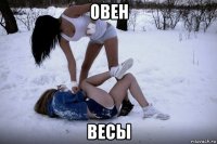 овен весы