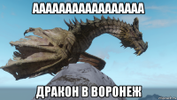 ааааааааааааааааа дракон в воронеж